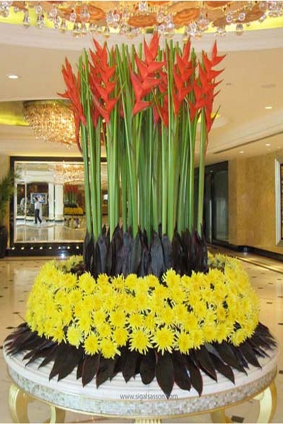 Hoa đại sảnh hoa cúc Màu Vàng